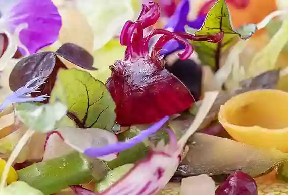 Le Concept - Le Potager - Restaurant Arcangues - restaurant Français ARCANGUES