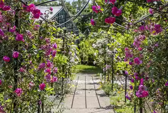 Le Concept - Le Potager - Restaurant Arcangues - Evenements biarritz